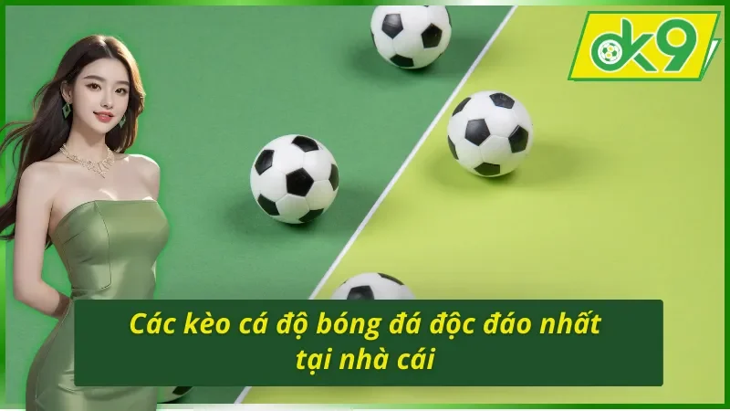 Các kèo cá cược bóng đá OK9 độc đáo nhất tại nhà cái