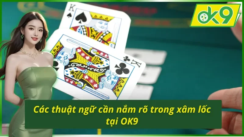 Các thuật ngữ cần nắm rõ không thể bỏ qua trong xâm lốc trên OK9